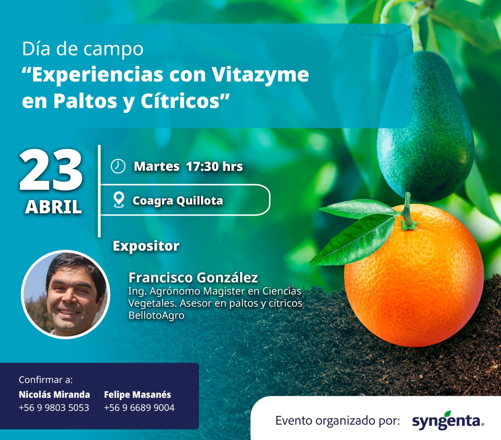 Experiencias con Vitazyme en Paltos y Cítricos